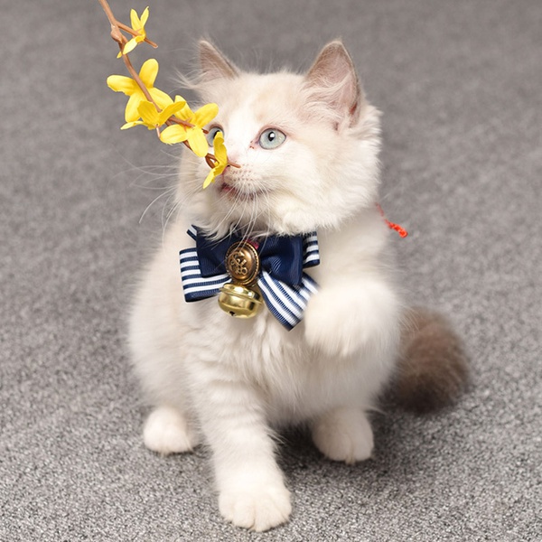 Pet Collar Attachment Bow Ties